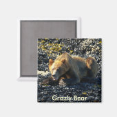 グリズリーベアアート マグネット (正面/裏面)