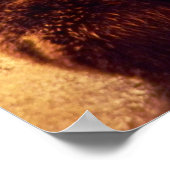 グリズリーベアプリント ポスター (角)