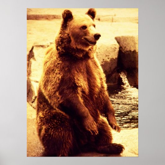 グリズリーベアプリント ポスター (正面)