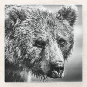 グリズリーベアポートレート ガラスコースター (正面)