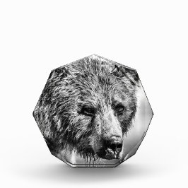 グリズリーベアポートレート フォトブロック