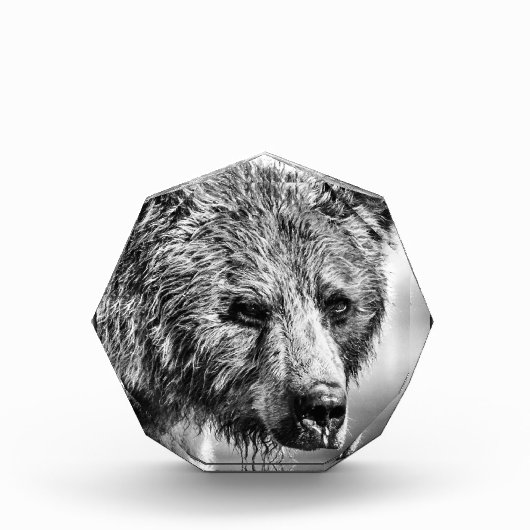 グリズリーベアポートレート フォトブロック (正面)