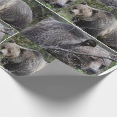 グリズリーベアラッピング紙 ラッピングペーパー (角)