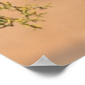 グリズリーベアーカブ ポスター (角)