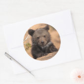 グリズリーベアーカブ ラウンドシール (封筒)