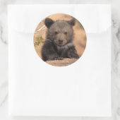 グリズリーベアーカブ ラウンドシール (バッグ)