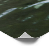 グリズリーベアークローズアップ ポスター (角)