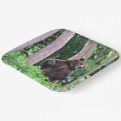 グリズリーベアースタンディングトール紙プレート ペーパープレート (傾斜あり)