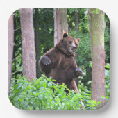 グリズリーベアースタンディングトール紙プレート ペーパープレート (正面)