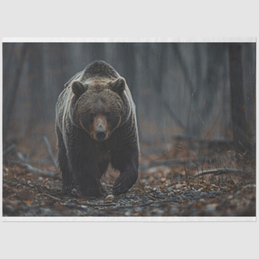 グリズリーベアーズ・イン・ザ・ウッズ・デコパージュ 薄葉紙 (正面)