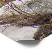 グリズリーベアーポスター ポスター (角)