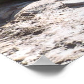 グリズリーベアーポスター ポスター (角)