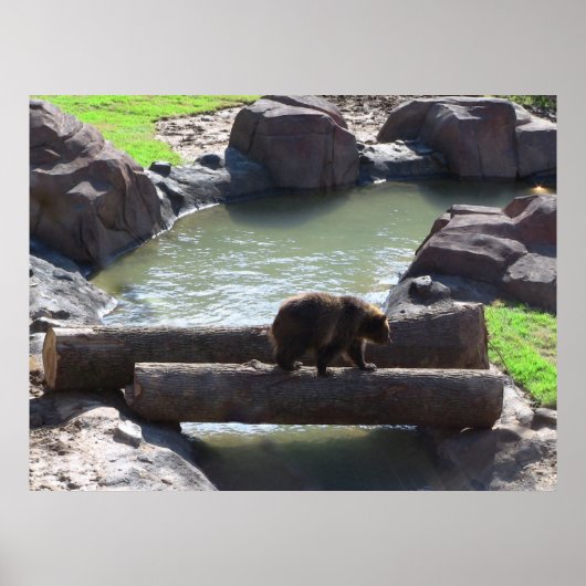 グリズリーベアーポスター ポスター (正面)