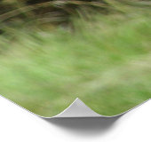 グリズリーベアーポスター ポスター (角)