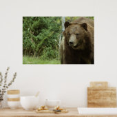 グリズリーベアーポスター ポスター (キッチン)