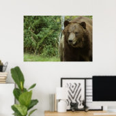 グリズリーベアーポスター ポスター (ホームオフィス)