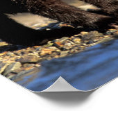 グリズリーベアー、ブラウンベアー、カブ、カトマイナショナル ポスター (角)