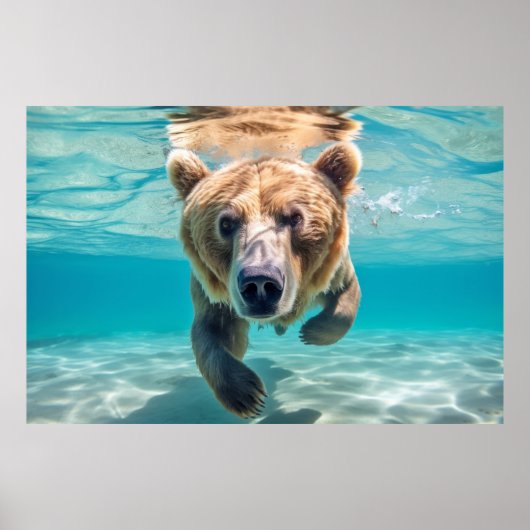 グリズリーベア動物おもしろい遊自然 ポスター (正面)