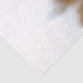 グリズリーベア川を切り離す 薄葉紙 (詳細)