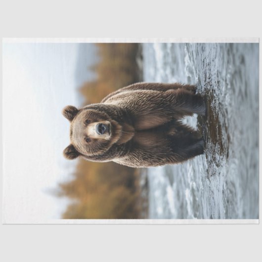 グリズリーベア川を切り離す 薄葉紙 (正面)