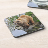 グリズリーベア野生動物写真 コースター (左側)