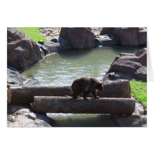 グリズリーベア (正面横)