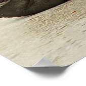 グリズリーベア ポスター (角)