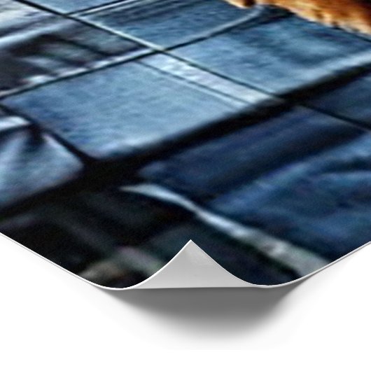 グリズリーベア ポスター (角)