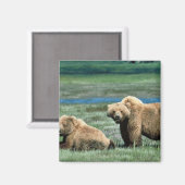 グリズリーベア マグネット (正面/裏面)