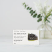 グリズリーベア（北アメリカンブラウンベア） - Audubon 名刺 (スタンド正面)