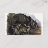 グリズリーベア（北アメリカンブラウンベア） - Audubon 名刺 (裏面)