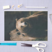 グリズリーベア 薄葉紙 (クラフト)