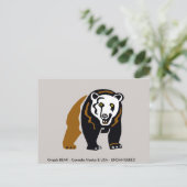 グリズリーベア – 野生生物 – 保護 – ポストカード (スタンド正面)