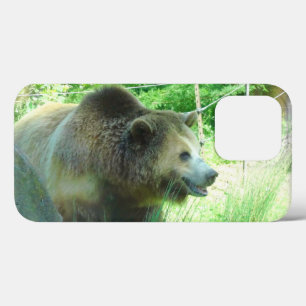 グリズリーベア#3 iPhone 13 Proケース
