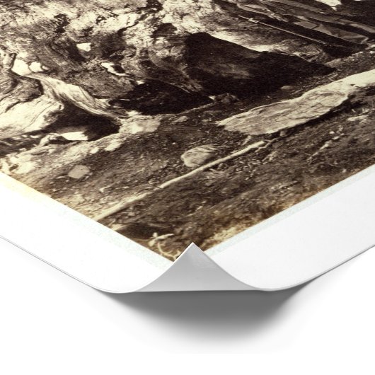 グリズリー巨人の基地、「ヨセミテの本」から ポスター (角)