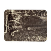 グリズリー巨人の基地、「ヨセミテの本」から マグネット (横)