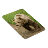 グリズリー磁石 マグネット (右側)