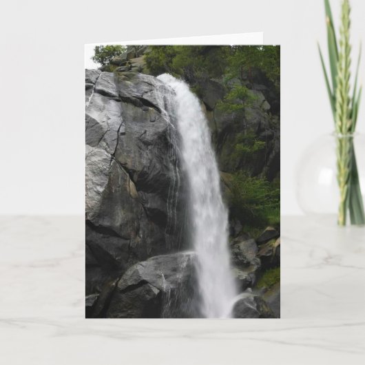 グリズリー秋、キングスキャニオン国立公園(カリフォルニア州) カード (正面)