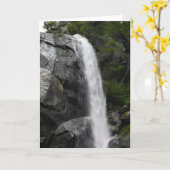 グリズリー秋、キングスキャニオン国立公園(カリフォルニア州) カード (黄色い花)