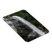 グリズリー秋、キングスキャニオン国立公園（カリフォルニア州） マグネット (右側)