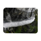 グリズリー秋、キングスキャニオン国立公園（カリフォルニア州） マグネット (横)