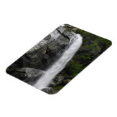 グリズリー秋、キングスキャニオン国立公園（カリフォルニア州） マグネット (左側)