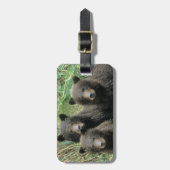 グリズリー3頭のクマの子どもかコイ ラゲッジタグ (正面縦)