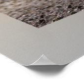 グリズリー ポスター (角)