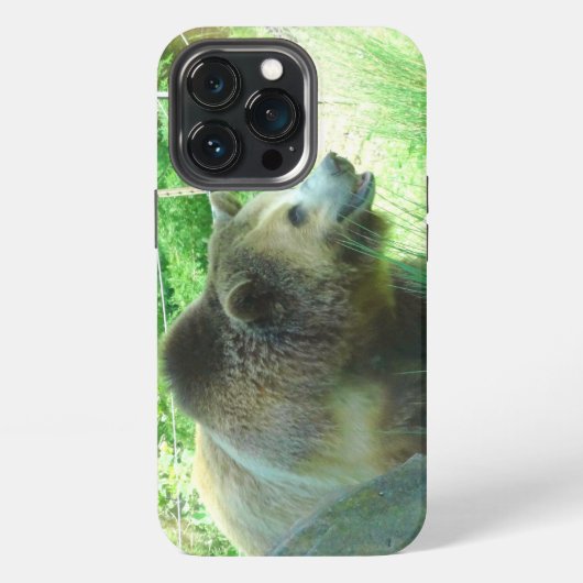 グリズリー #3 iPhone 13 Pro カバー (裏面)