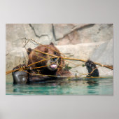 グリズリ遊ベア ポスター (正面)