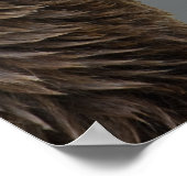 グリズルミートアライグマ ポスター (角)