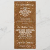 グリッターきらめくゴールデン赤面ストリングライツプログラム プログラム (裏面)