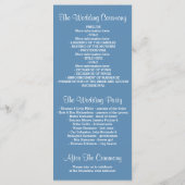 グリッターきらめくブルーストリングライトプログラム プログラム (裏面)