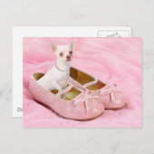 グリッターのピンクのガーリーな靴の小さいチワワ ポストカード (正面/裏面)